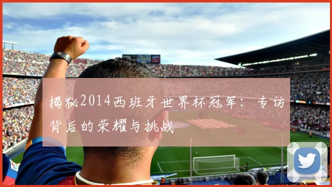 揭秘2014西班牙世界杯冠军：专访背后的荣耀与挑战