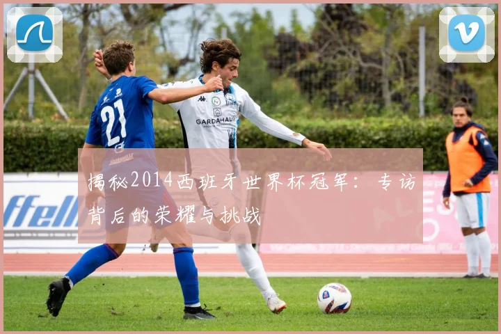 揭秘2014西班牙世界杯冠军：专访背后的荣耀与挑战