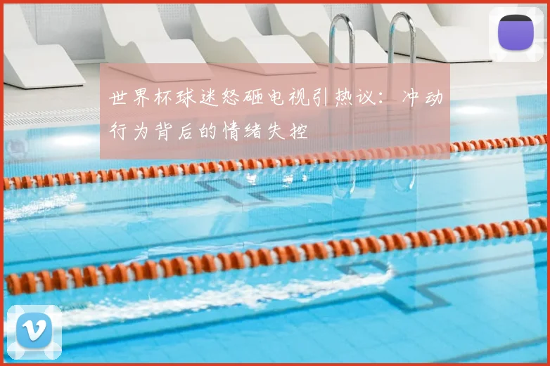 世界杯球迷怒砸电视引热议:冲动行为背后的情绪失控