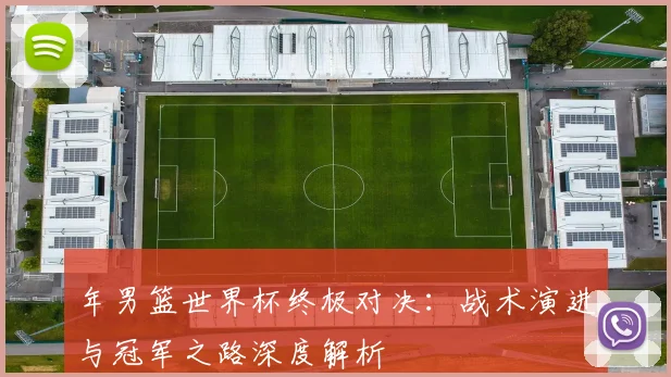 年男篮世界杯终极对决:战术演进与冠军之路深度解析