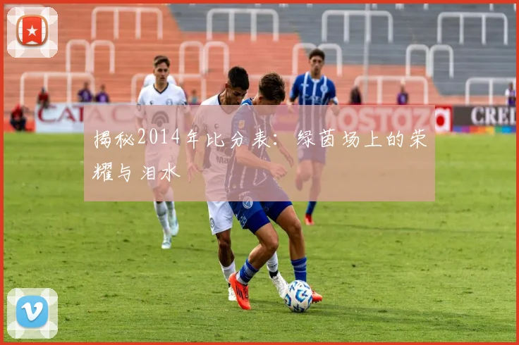 揭秘2014年比分表：绿茵场上的荣耀与泪水