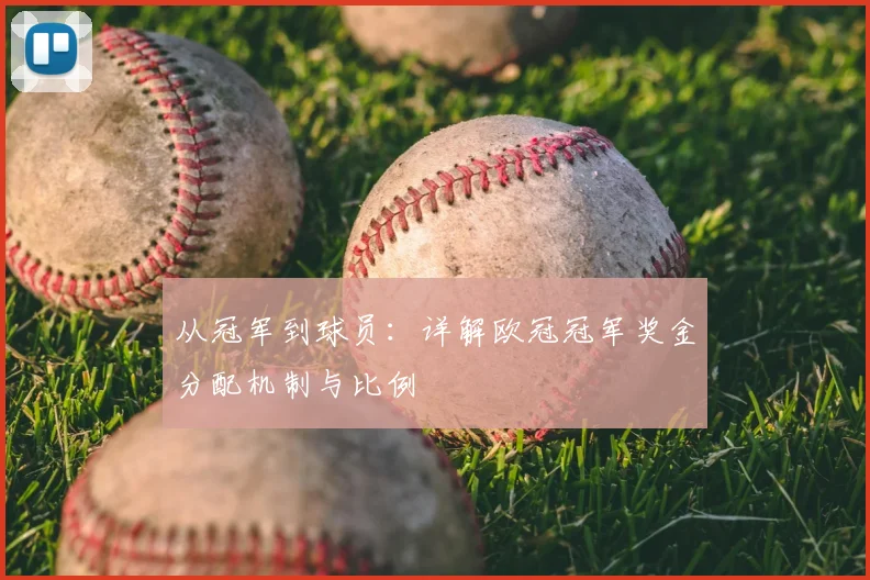 从冠军到球员：详解欧冠冠军奖金分配机制与比例